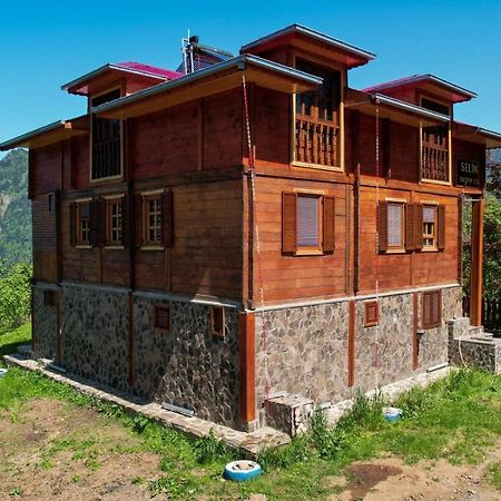 Ferienwohnung Selin Yasam Evi Artvin Exterior foto