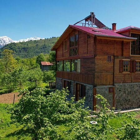 Ferienwohnung Selin Yasam Evi Artvin Exterior foto