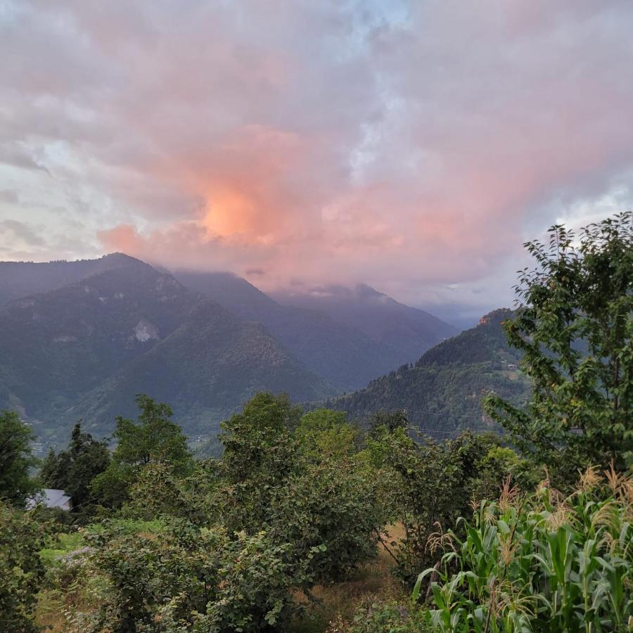 Ferienwohnung Selin Yasam Evi Artvin Exterior foto