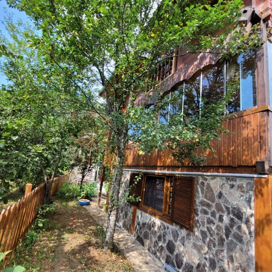 Ferienwohnung Selin Yasam Evi Artvin Exterior foto